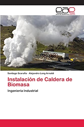 Instalación de Caldera de Biomasa: Ingeniería Industrial